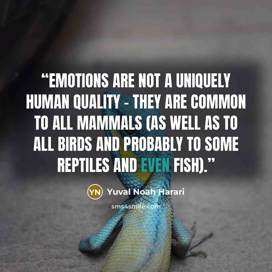 “emotions are not a uniquely human quality – they are common to all mammals (as well as to all birds and probably to some reptiles and even fish).” quote by Yuval Noah Harari