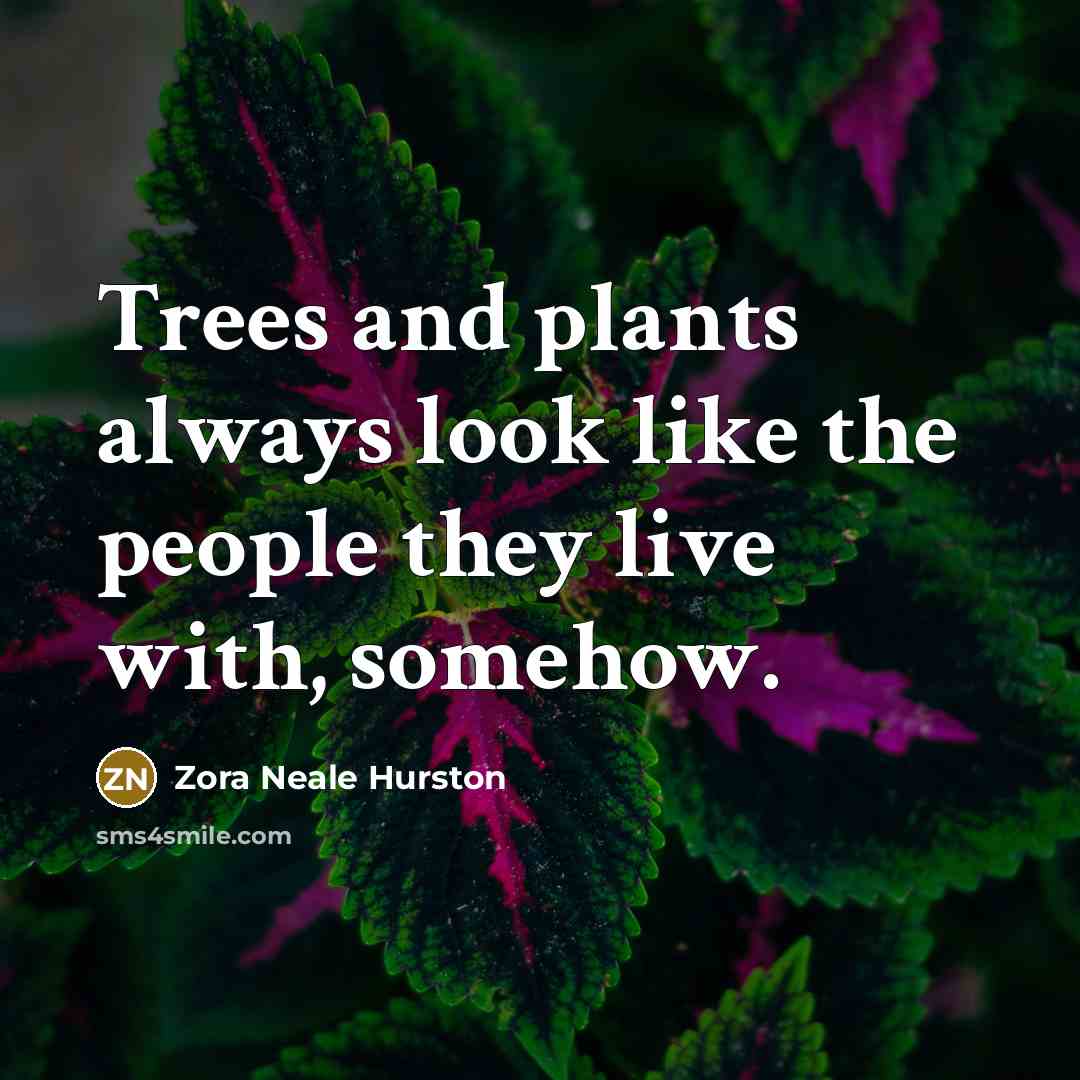 “Trees and plants always look like the people they live…” quote by Zora Neale Hurston