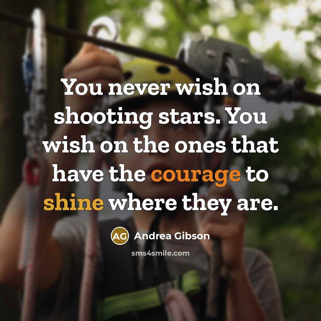 “You never wish on shooting stars. You wish on the…” quote by Andrea Gibson