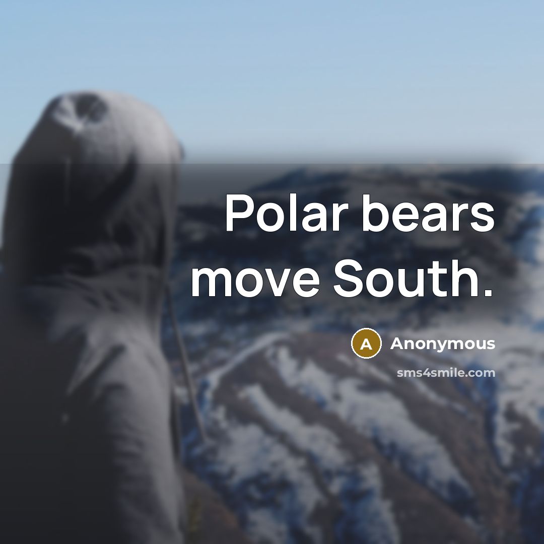“Polar bears move South.…” quote by Anonymous