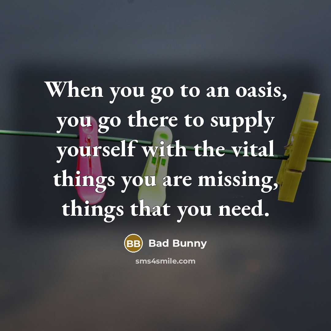 “When you go to an oasis, you go there to…” quote by Bad Bunny