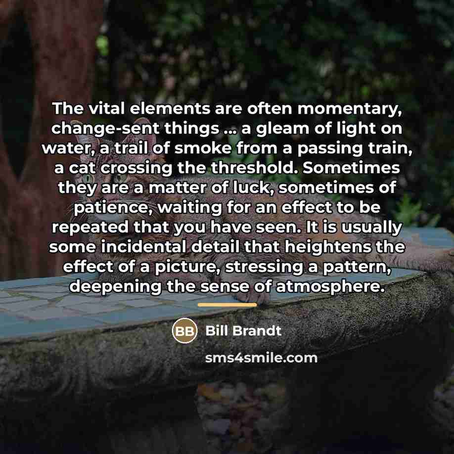 “The vital elements are often momentary, change-sent things ... a…” quote by Bill Brandt