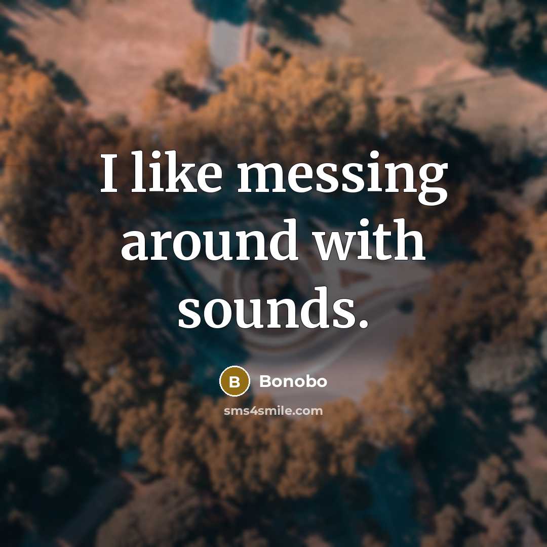 “I like messing around with sounds.…” quote by Bonobo