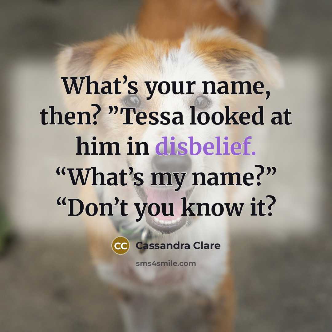 “What’s your name, then? ”Tessa looked at him in disbelief.…” quote by Cassandra Clare