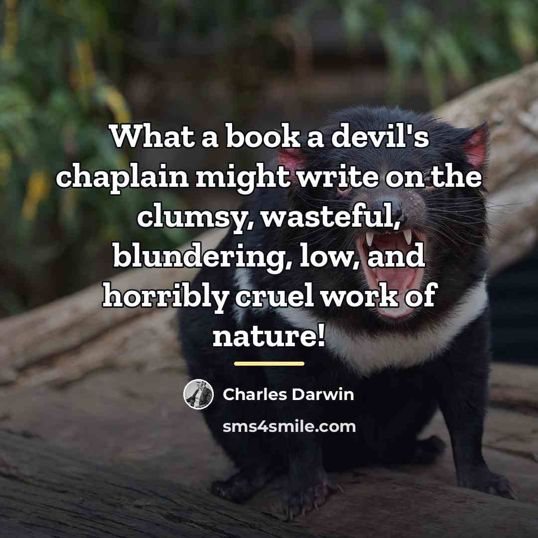 “What a book a devil's chaplain might write on the…” quote by Charles Darwin