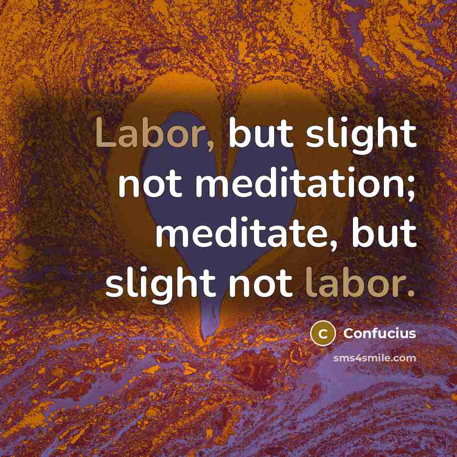 “Labor, but slight not meditation; meditate, but slight not labor.…” quote by Confucius