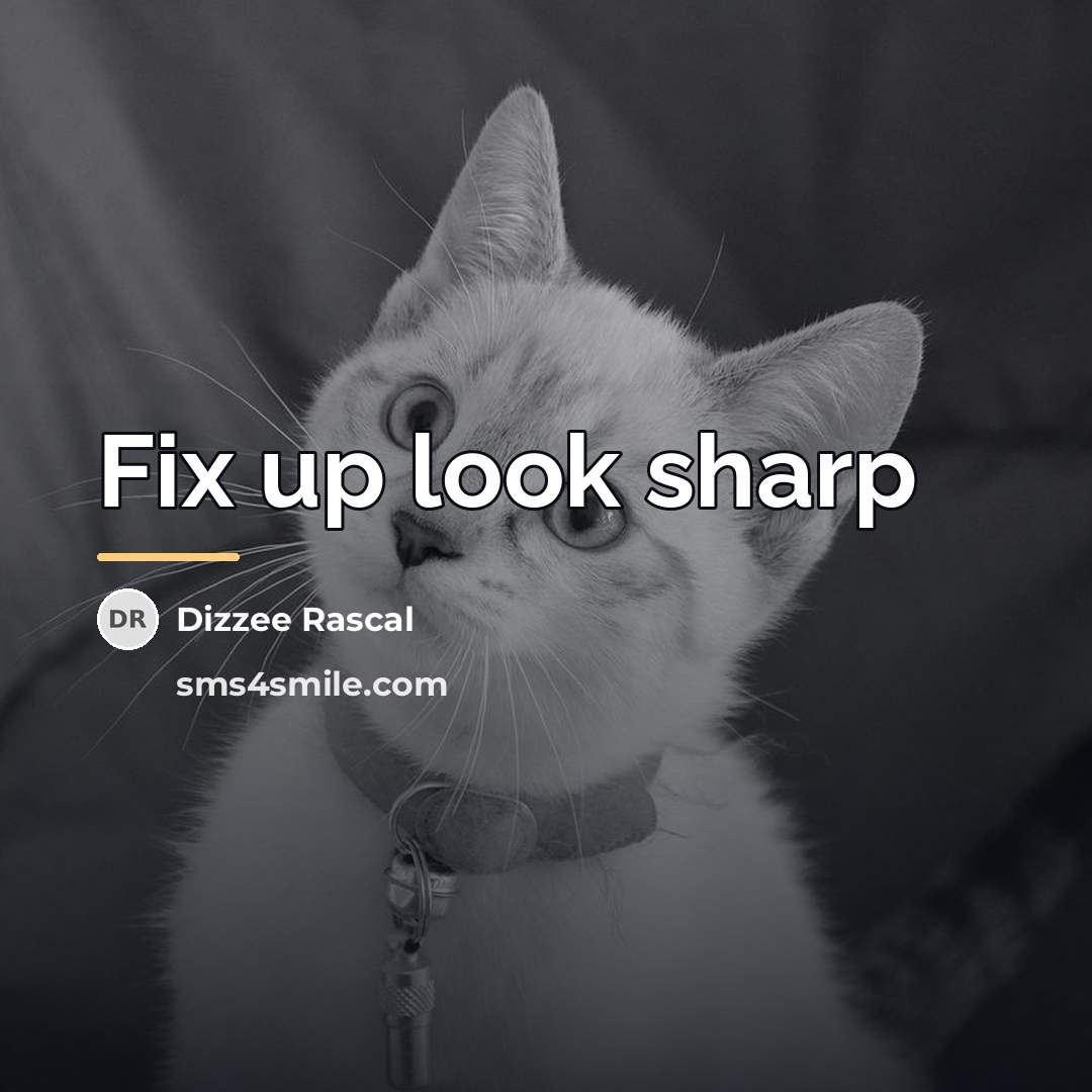 “Fix up look sharp…” quote by Dizzee Rascal