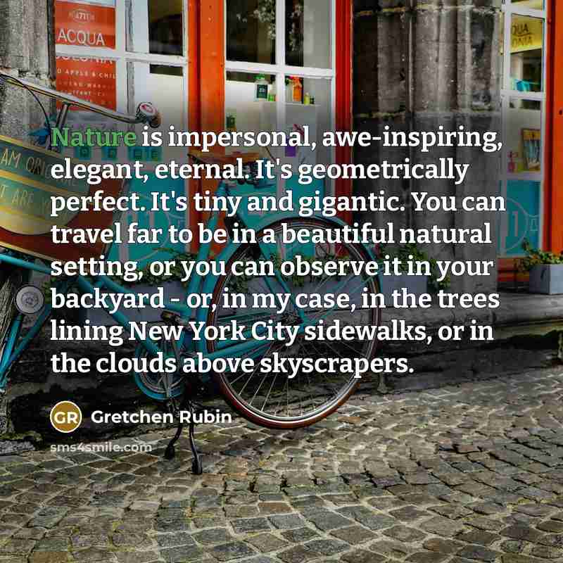 “Nature is impersonal, awe-inspiring, elegant, eternal. It's geometrically perfect. It's…” quote by Gretchen Rubin