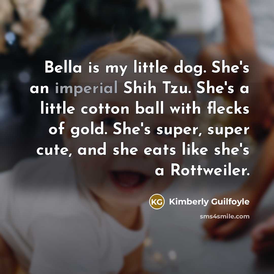 “Bella is my little dog. She's an imperial Shih Tzu.…” quote by Kimberly Guilfoyle