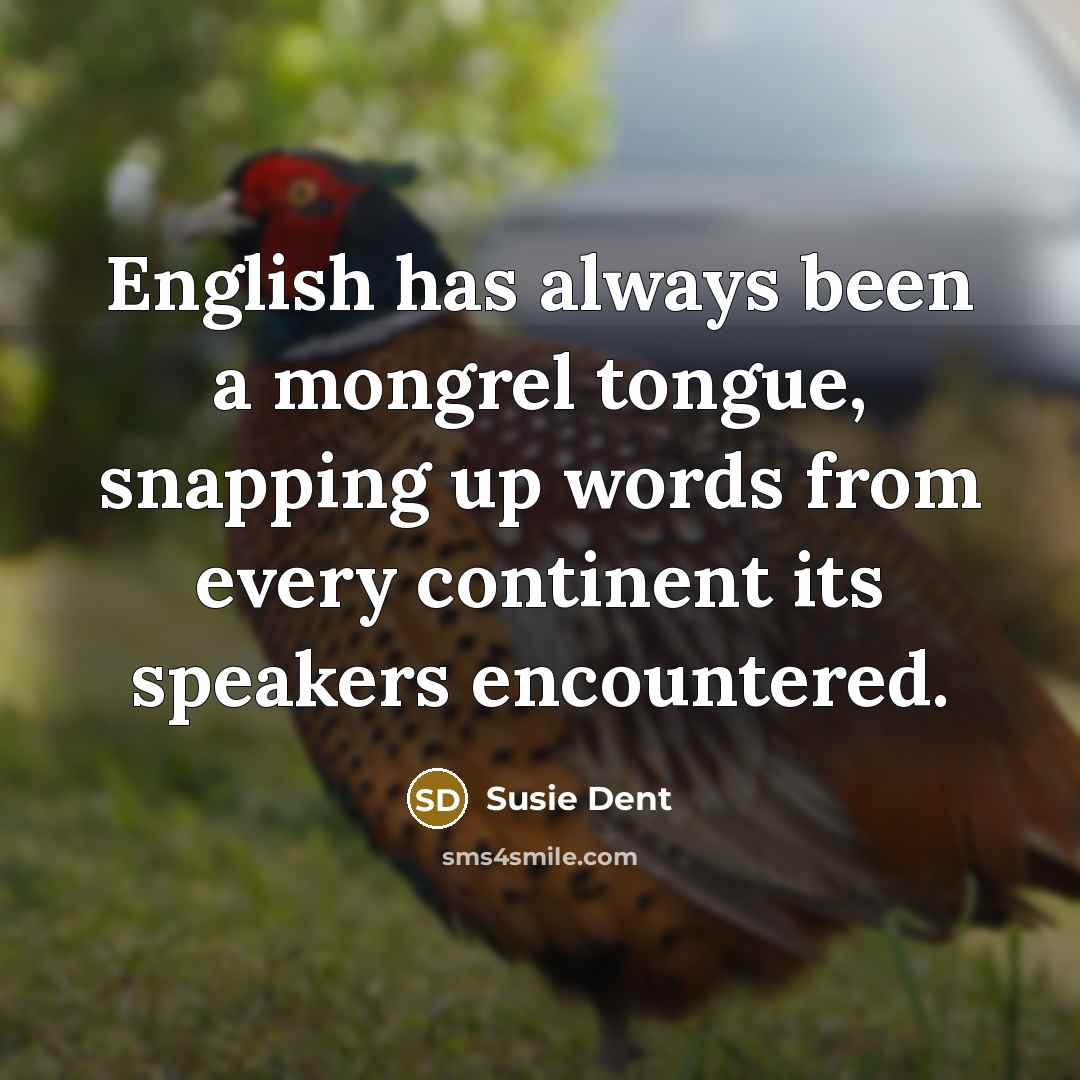“English has always been a mongrel tongue, snapping up words…” quote by Susie Dent