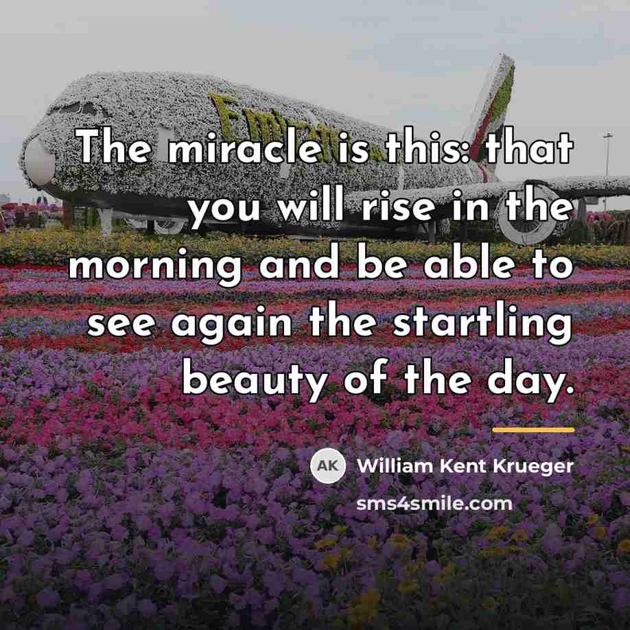 “The miracle is this: that you will rise in the…” quote by William Kent Krueger