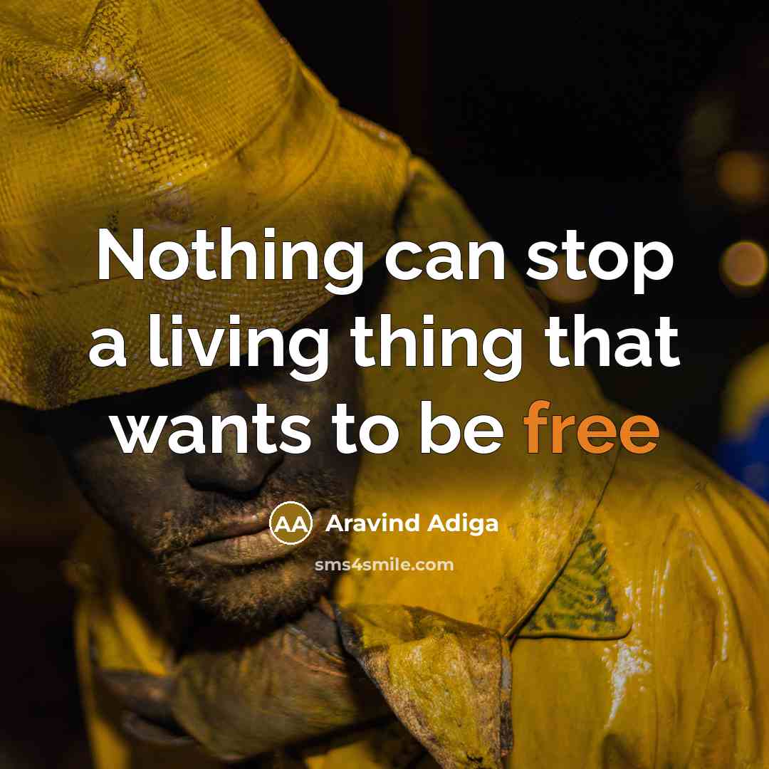 “Nothing can stop a living thing that wants to be free” quote by Aravind Adiga