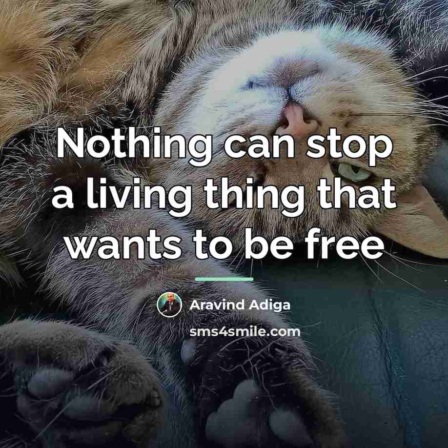 “Nothing can stop a living thing that wants to be…” quote by Aravind Adiga
