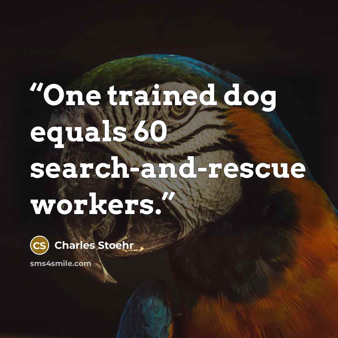 “One trained dog equals 60 search-and-rescue workers.” quote by Charles Stoehr