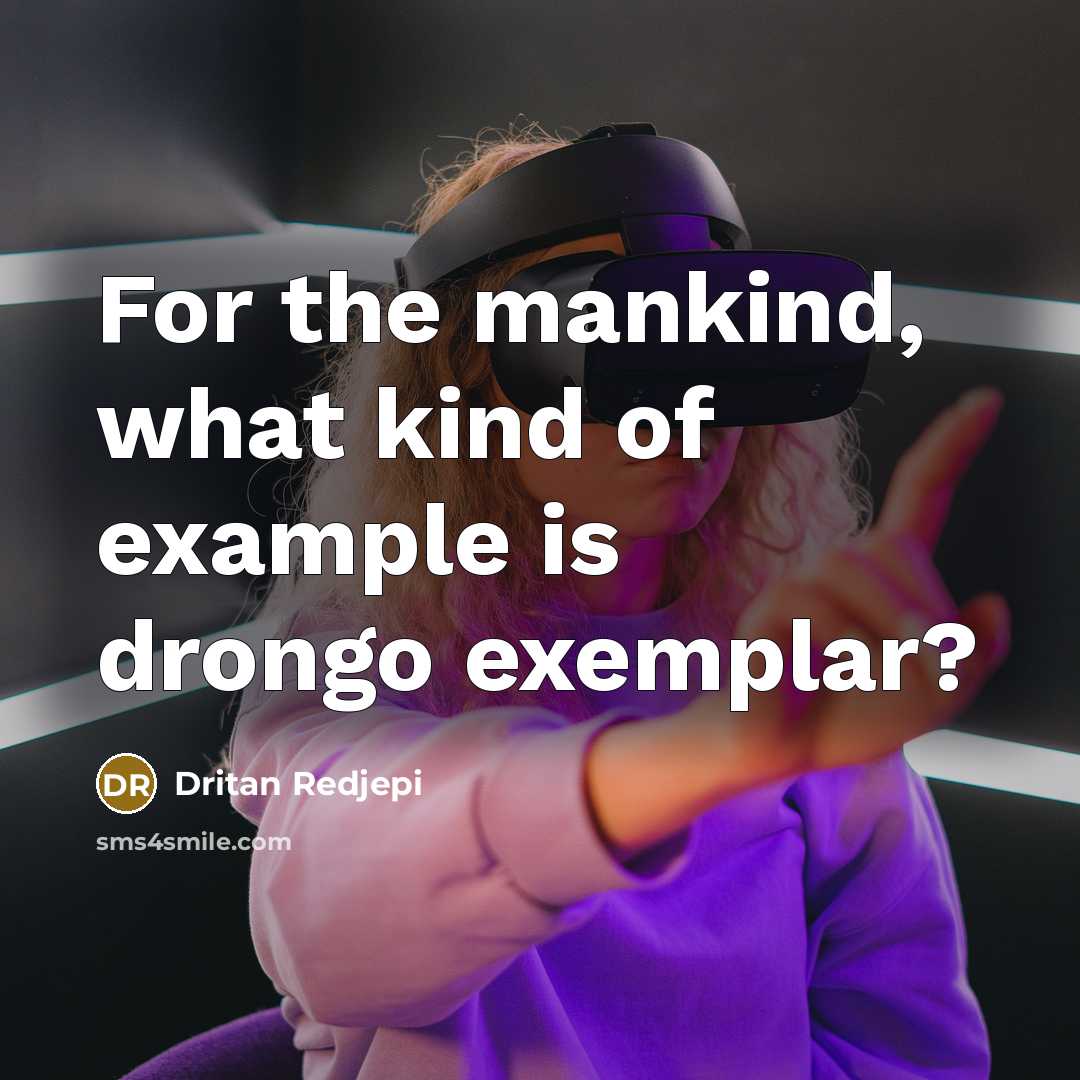 “For the mankind, what kind of example is drongo exemplar?…” quote by Dritan Redjepi