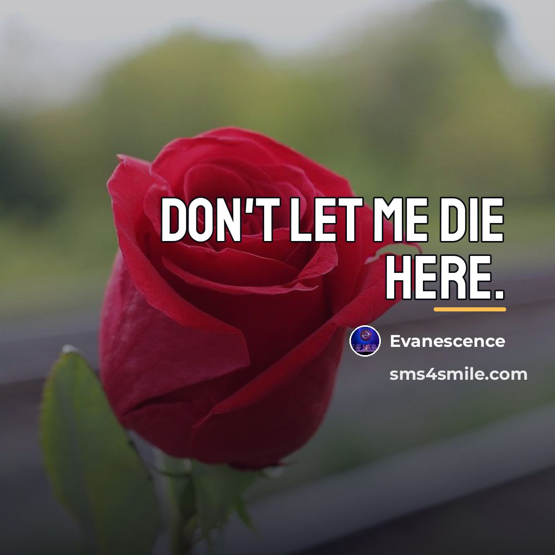 “Don't let me die here.…” quote by Evanescence