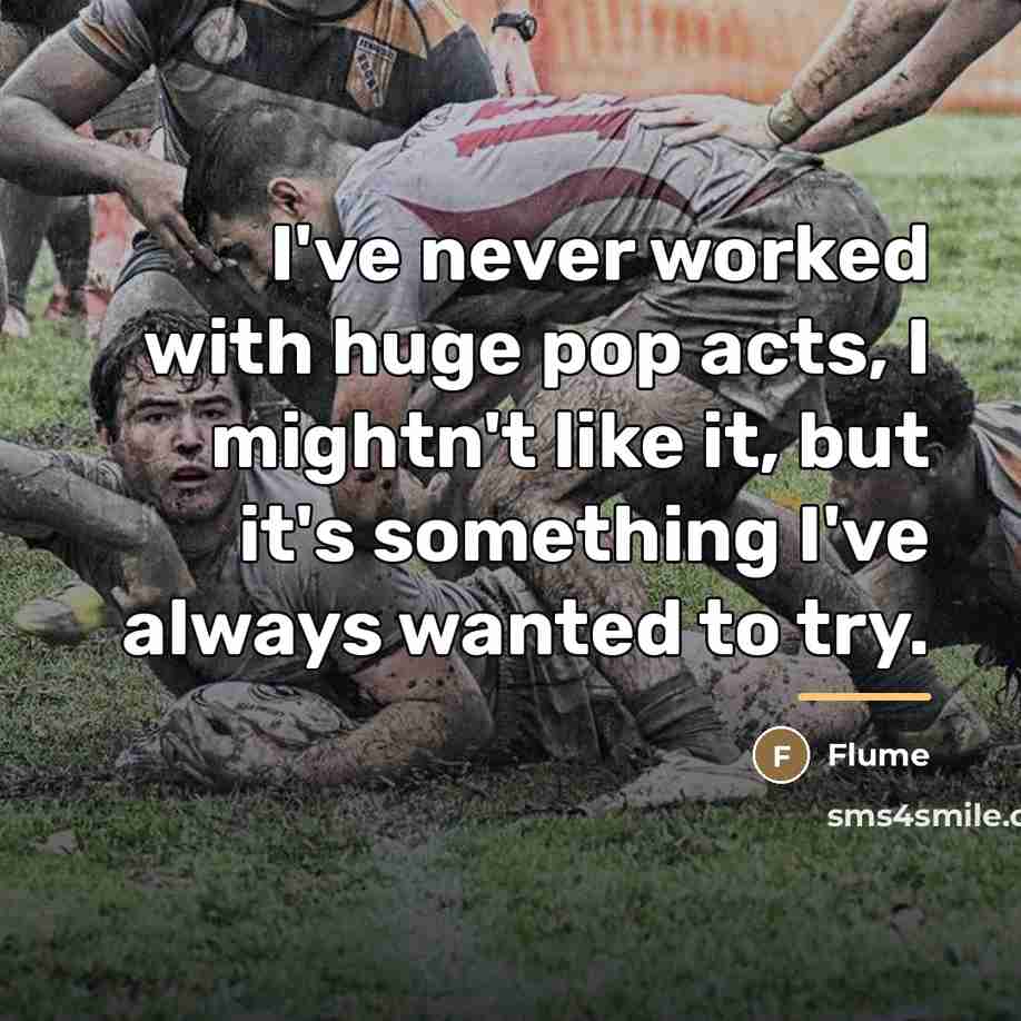 “I've never worked with huge pop acts, I mightn't like…” quote by Flume
