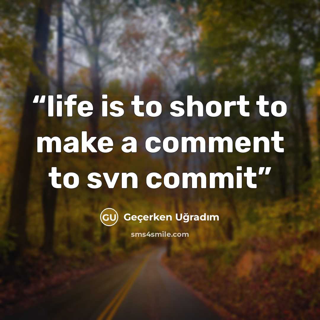 “life is to short to make a comment to svn commit” quote by Geçerken Uğradım