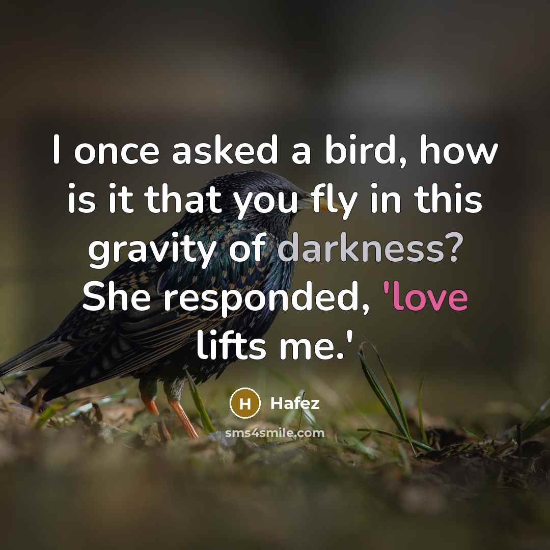 “I once asked a bird, how is it that you…” quote by Hafez