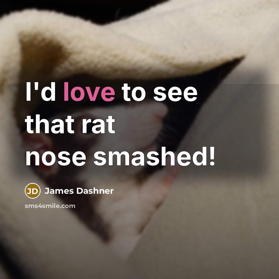 “I'd love to see that rat nose smashed!…” quote by James Dashner