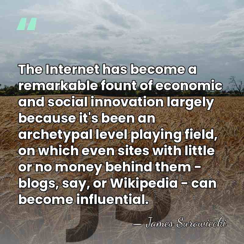 The Internet has become a remarkable fount of economic and social innovation&hellip; - James Surowiecki