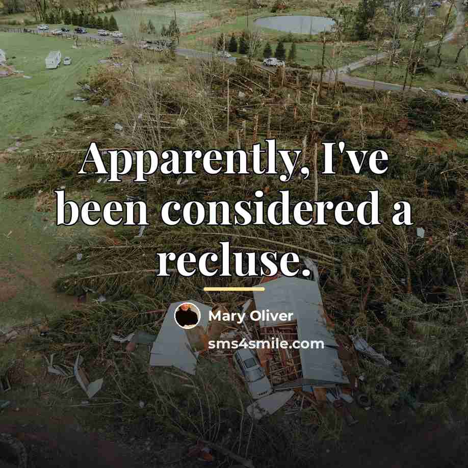 “Apparently, I've been considered a recluse.…” quote by Mary Oliver