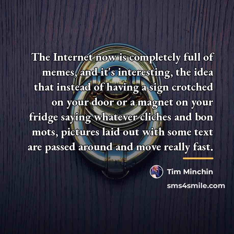 “The Internet now is completely full of memes, and it's…” quote by Tim Minchin