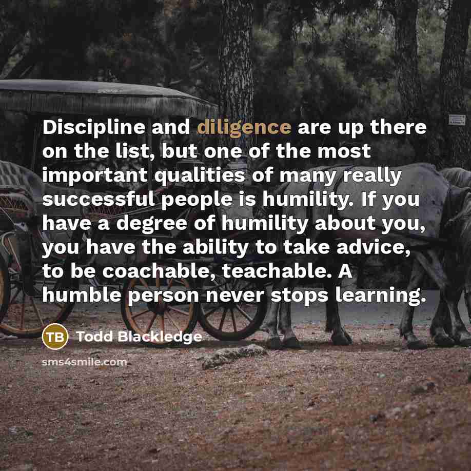 “Discipline and diligence are up there on the list, but…” quote by Todd Blackledge