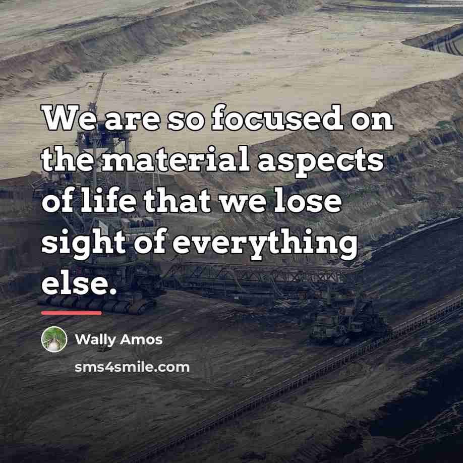 “We are so focused on the material aspects of life…” quote by Wally Amos