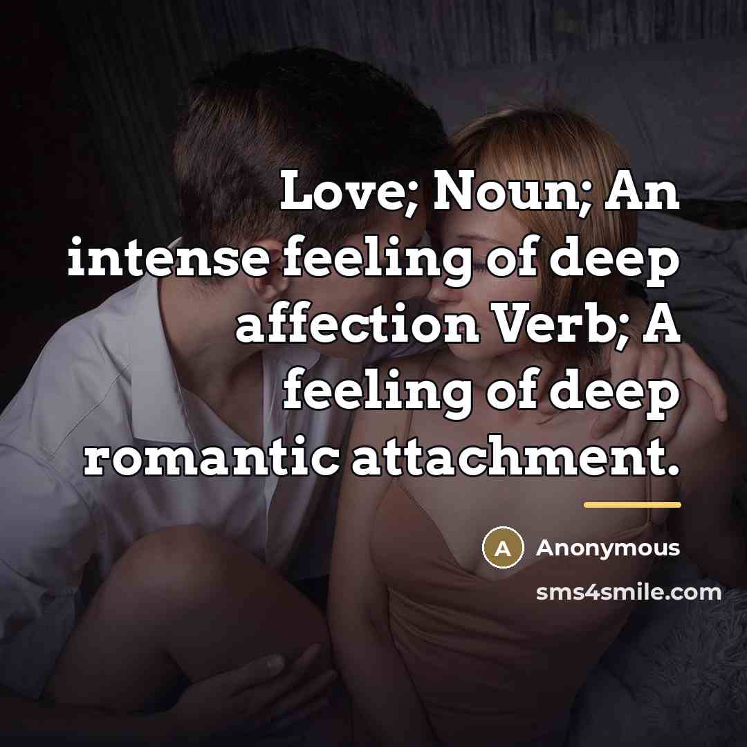 “Love; Noun; An intense feeling of deep affection Verb; A…” quote by Anonymous