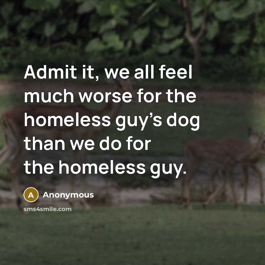 “Admit it, we all feel much worse for the homeless…” quote by Anonymous