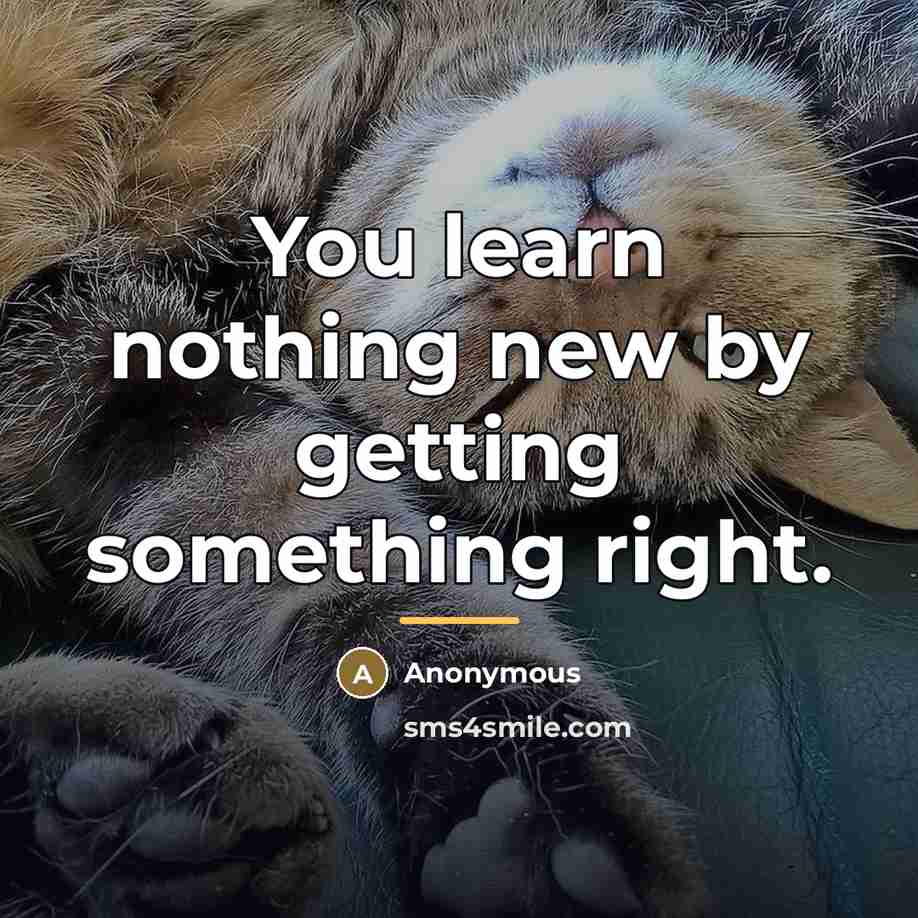 “You learn nothing new by getting something right.…” quote by Anonymous