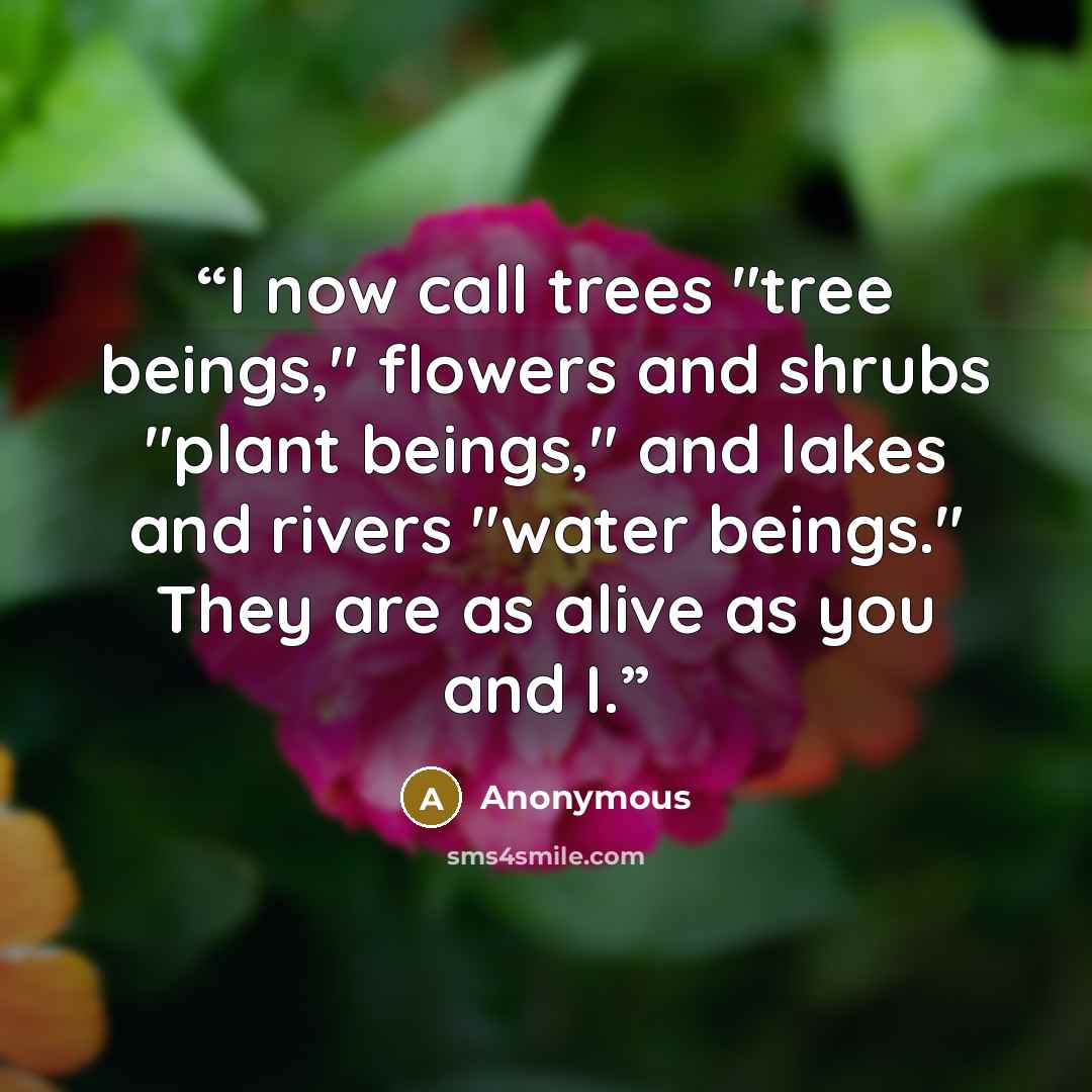 “I now call trees "tree beings," flowers and shrubs "plant beings," and lakes and rivers "water beings." They are as alive as you and I.” quote by Anonymous