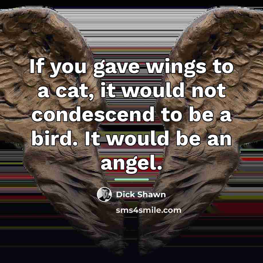 “If you gave wings to a cat, it would not…” quote by Dick Shawn