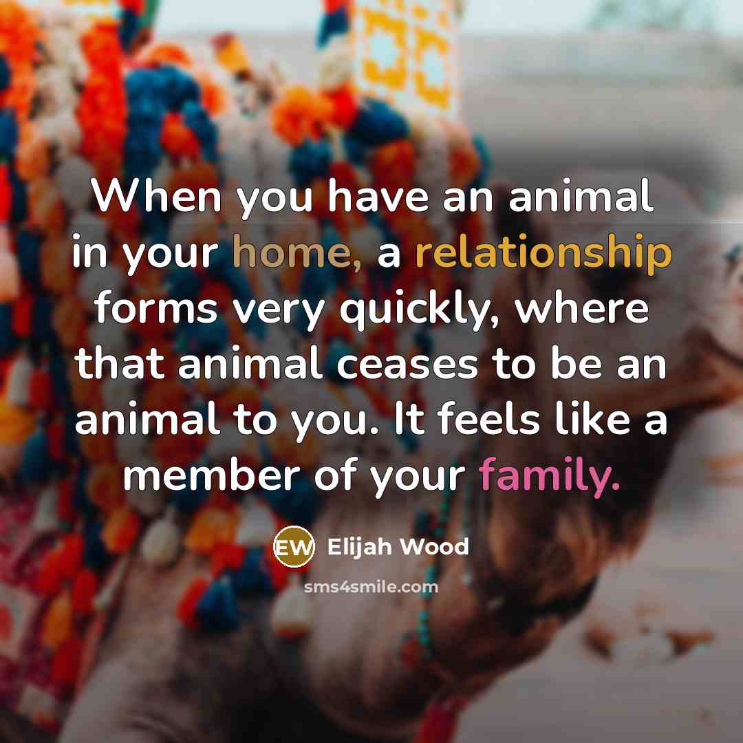 “When you have an animal in your home, a relationship…” quote by Elijah Wood