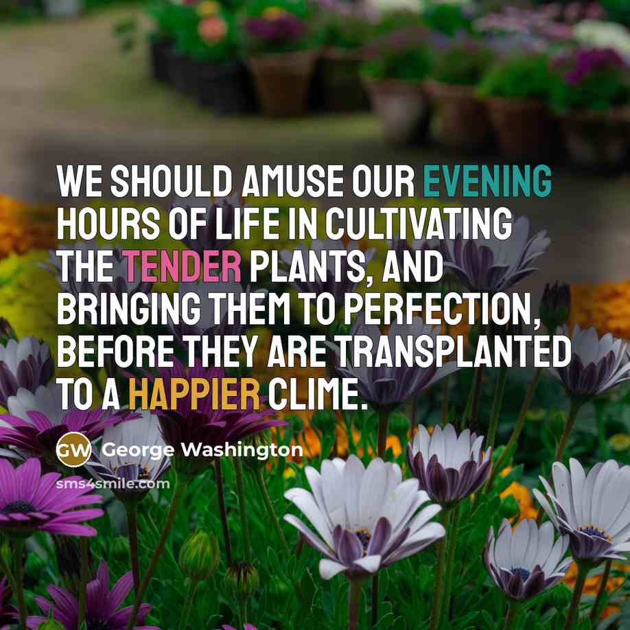 “We should amuse our evening hours of life in cultivating…” quote by George Washington