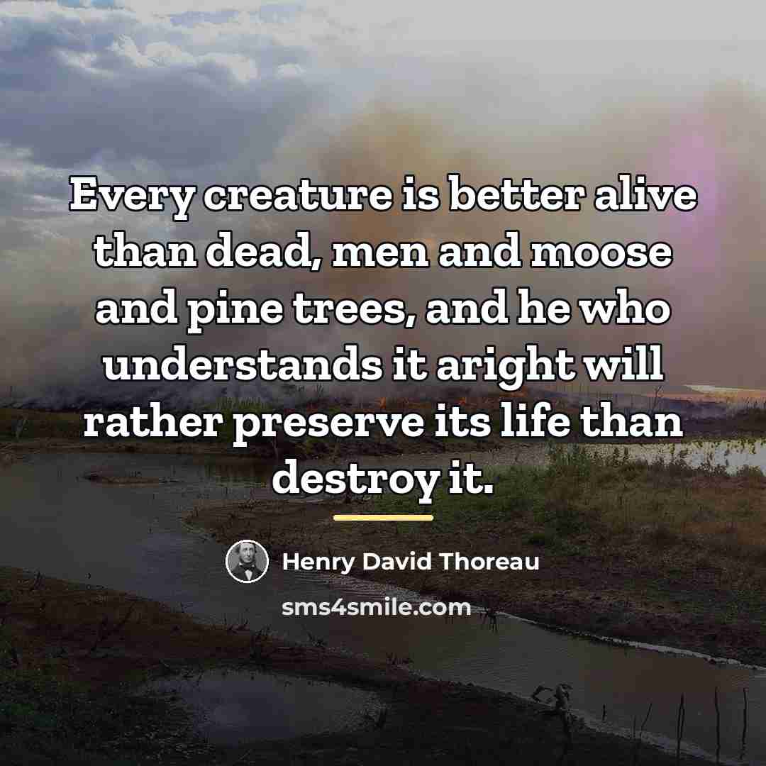 “Every creature is better alive than dead, men and moose…” quote by Henry David Thoreau