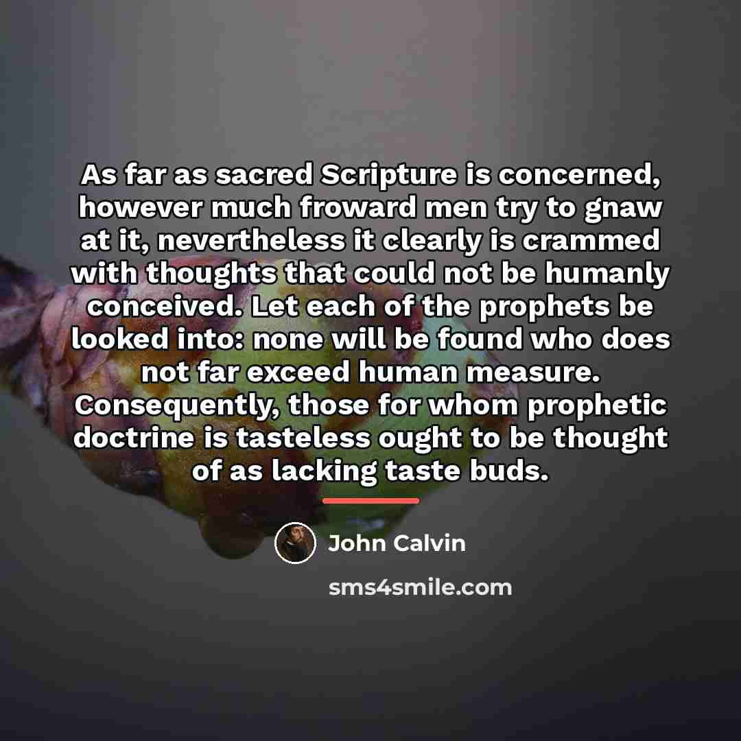 “As far as sacred Scripture is concerned, however much froward…” quote by John Calvin