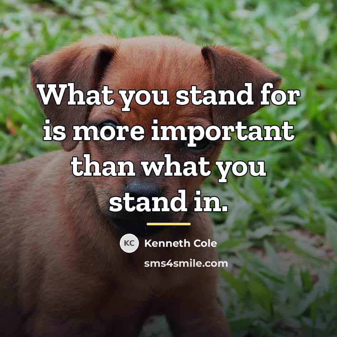 “What you stand for is more important than what you…” quote by Kenneth Cole