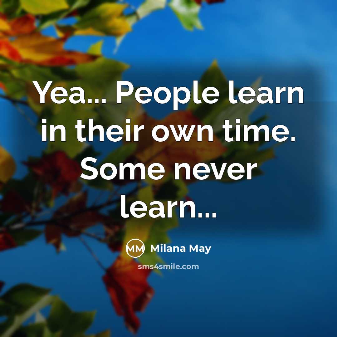“Yea... People learn in their own time. Some never learn...…” quote by Milana May