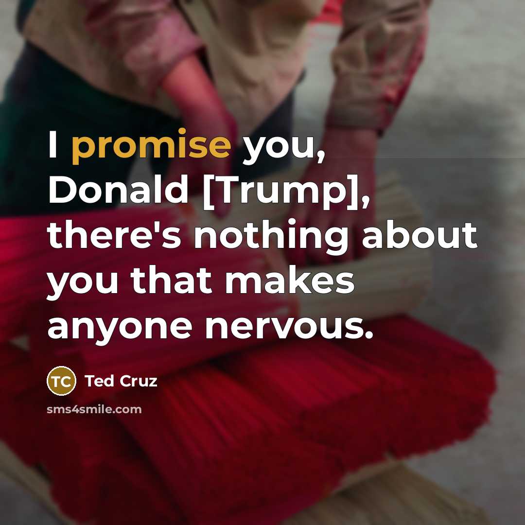 “I promise you, Donald [Trump], there's nothing about you that…” quote by Ted Cruz