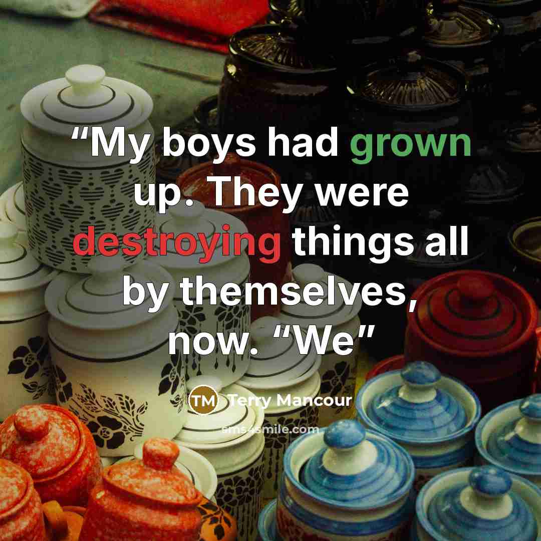 “My boys had grown up. They were destroying things all by themselves, now. “We” quote by Terry Mancour