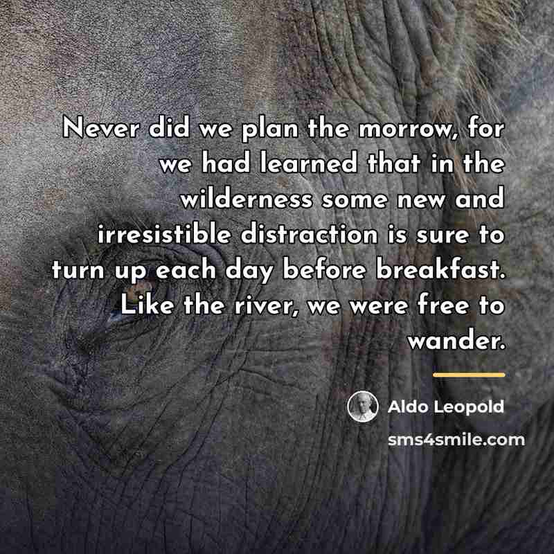 “Never did we plan the morrow, for we had learned…” quote by Aldo Leopold