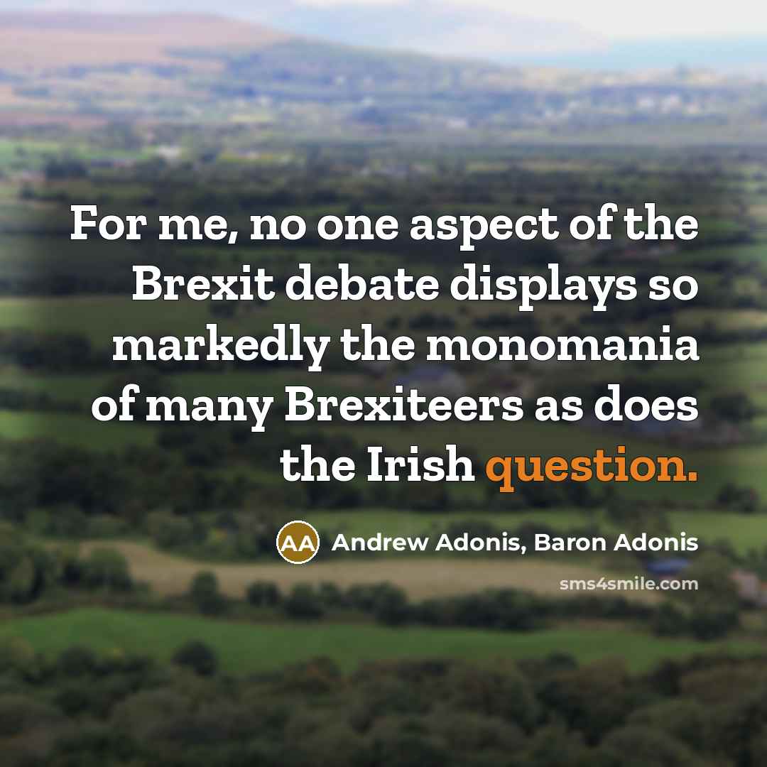 “For me, no one aspect of the Brexit debate displays…” quote by Andrew Adonis, Baron Adonis