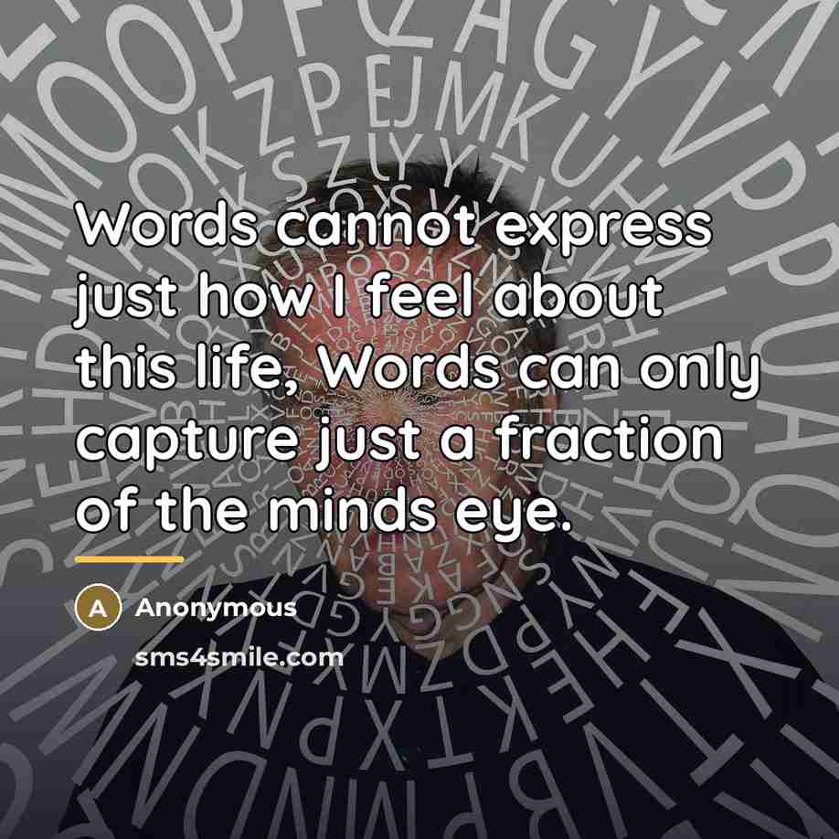 “Words cannot express just how I feel about this life,…” quote by Anonymous