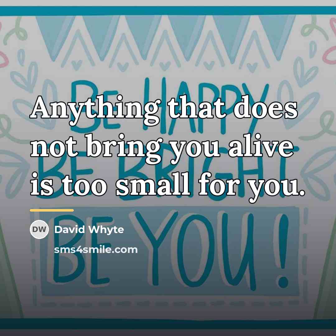 “Anything that does not bring you alive is too small…” quote by David Whyte