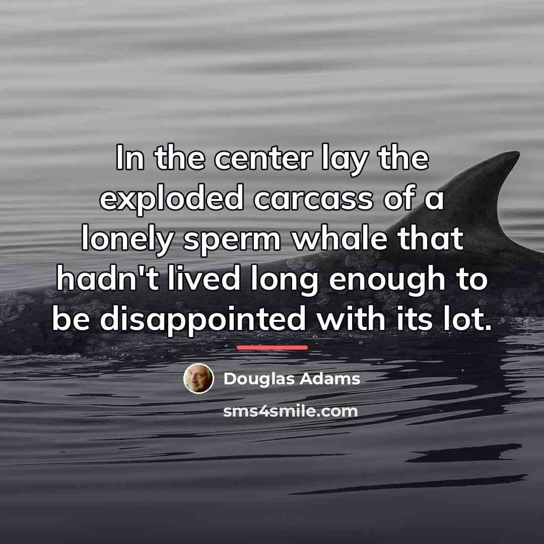 “In the center lay the exploded carcass of a lonely…” quote by Douglas Adams