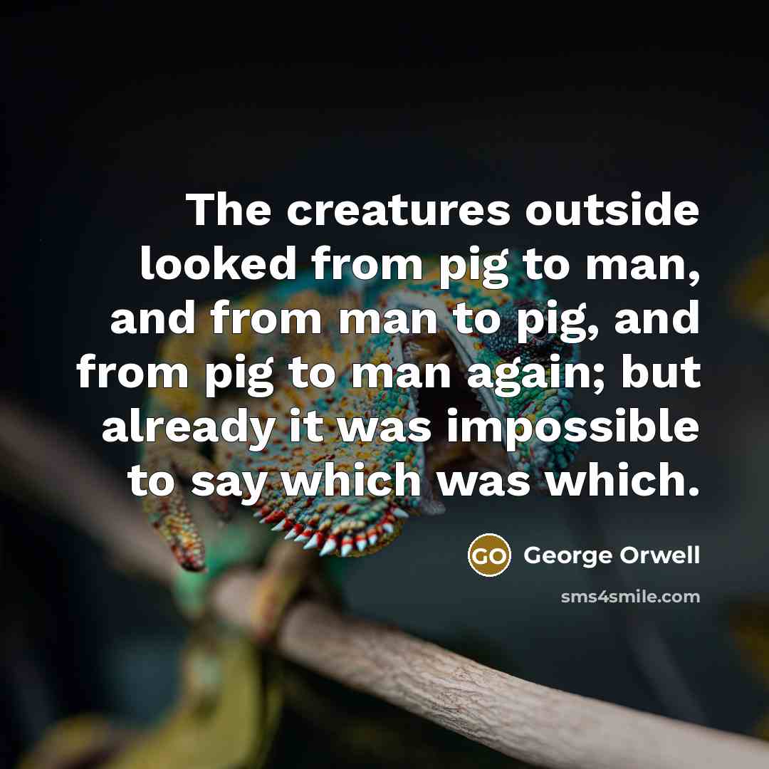 “The creatures outside looked from pig to man, and from…” quote by George Orwell