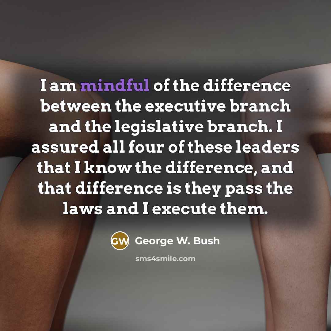 “I am mindful of the difference between the executive branch…” quote by George W. Bush