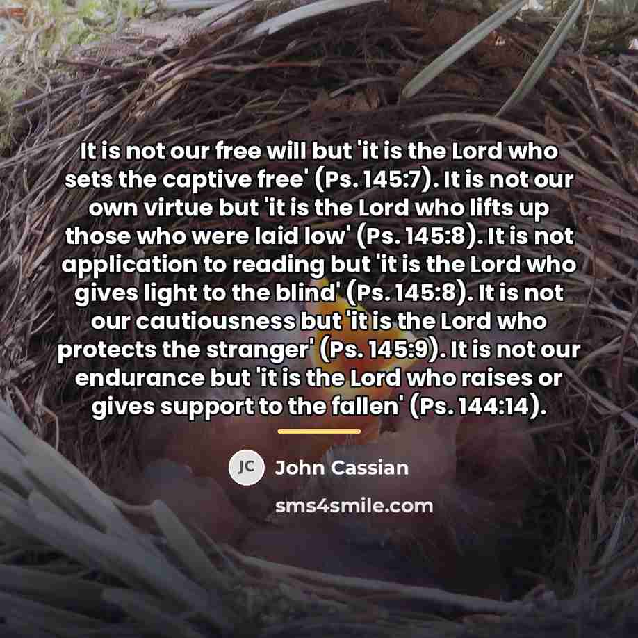 “It is not our free will but 'it is the…” quote by John Cassian